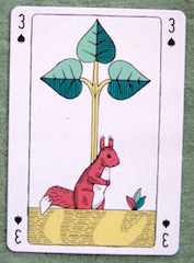 Cards