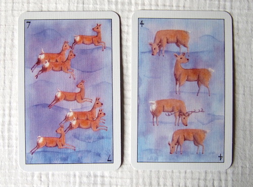 deer
