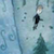 the forest