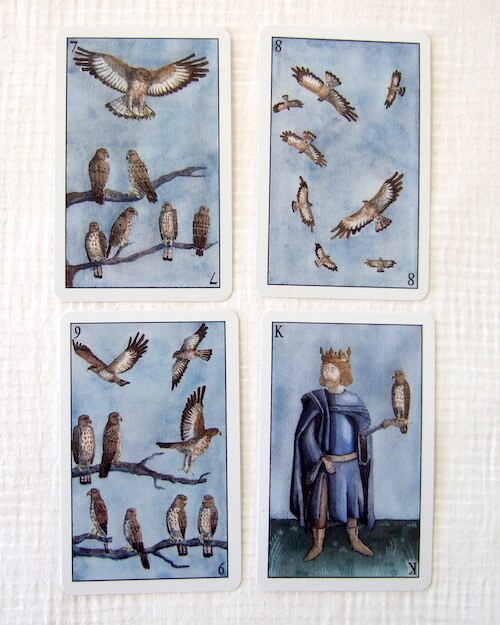 hawks cards